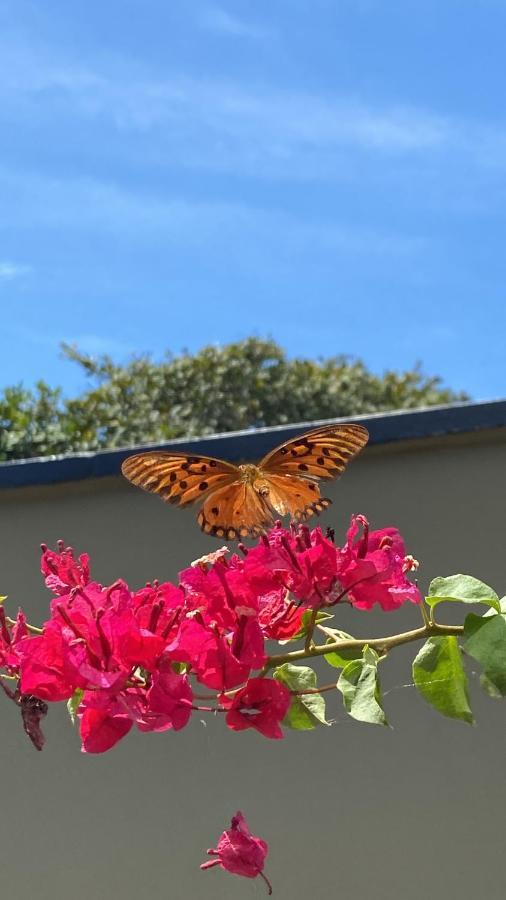 פראיפאבה Beach Eco Stays Hotel Boutique Lagoinha מראה חיצוני תמונה